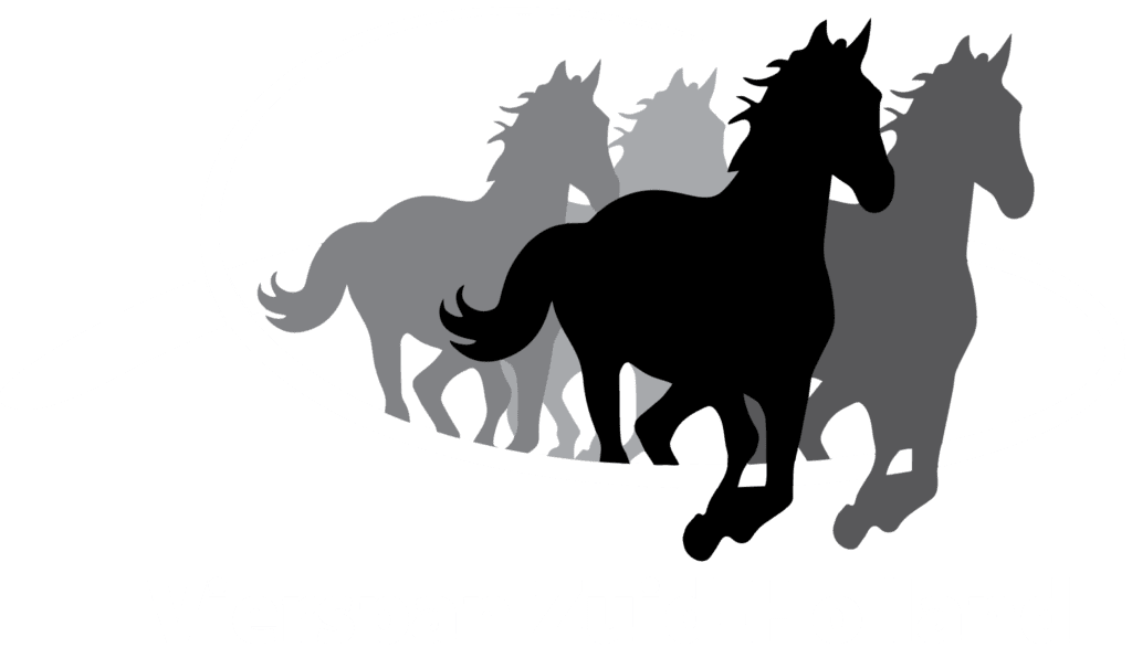 Vierspan Zuid-Holland